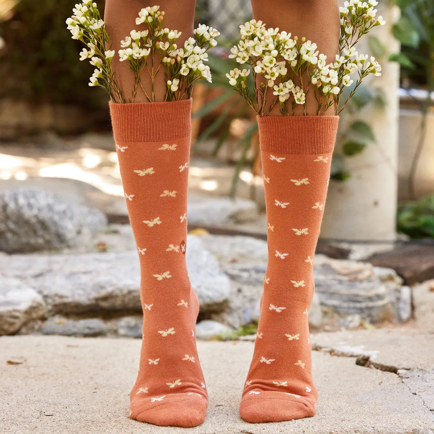 Boxed Set Socks - Stop Violence Against Women