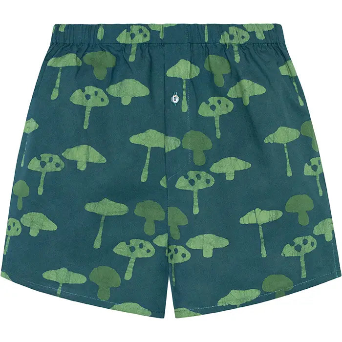 Organic Cotton Boxers