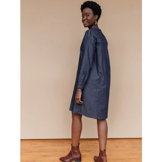 Ranji Denim Dress