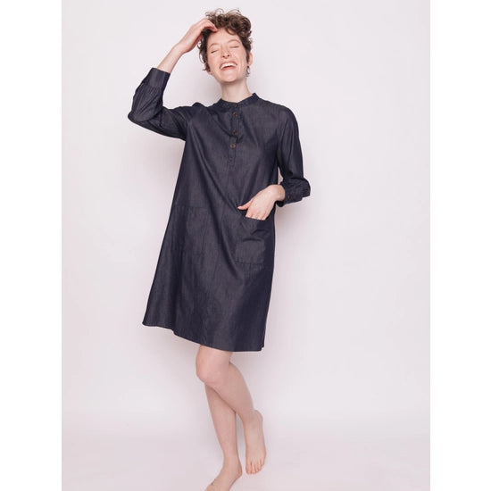 Ranji Denim Dress