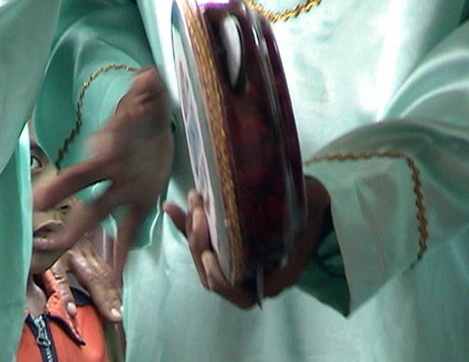 Turtle Frame Drum Instrument