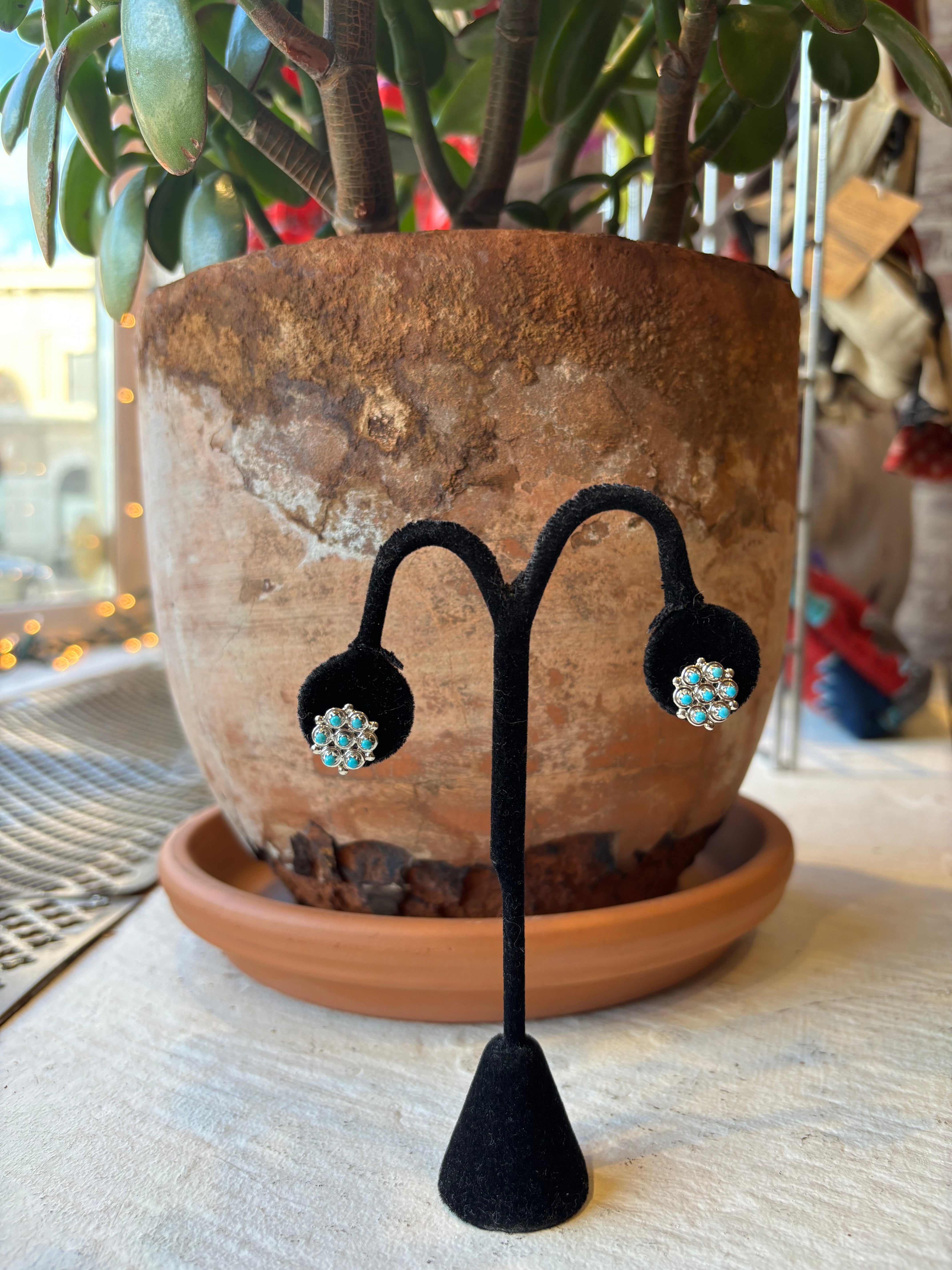 A pair of turquoise stud earrings displayed in front of a brown ceramic vase with a green plant, on a table with a beige surface...only at Flavours of Life :)