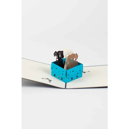 Happy Puppies Pop-Up Card